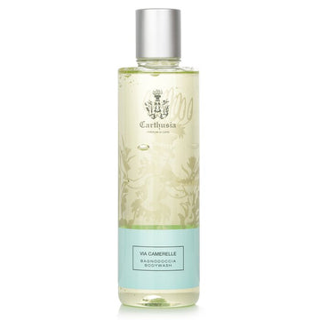 Shower Gel – Fresh Citrus – for invigorating daily cleanse