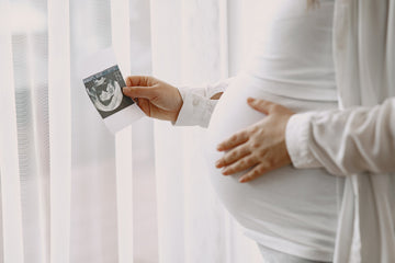 Pregnancy Woman Health Precautions