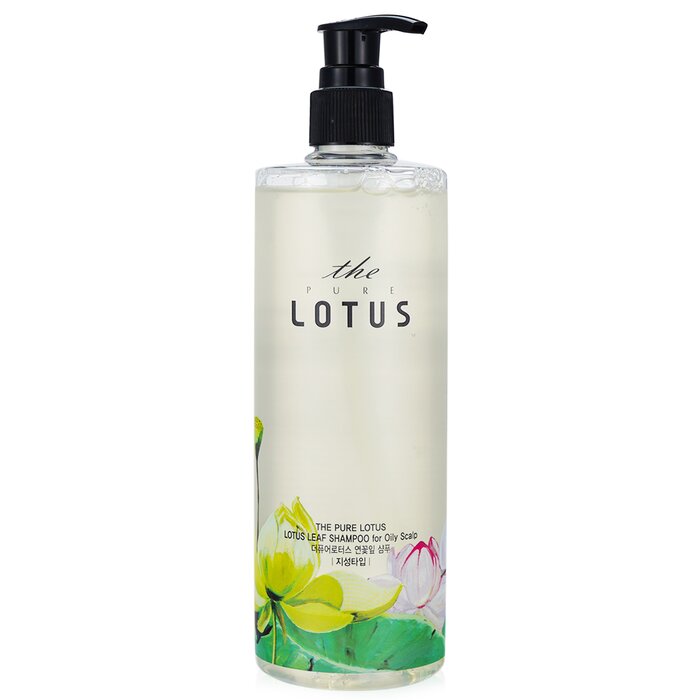 Dry hair shampoo - THE PURE LOTUS Lotus Leaf Shampoo - For Oily Scalp 420ml for moisturizing and nourishment.