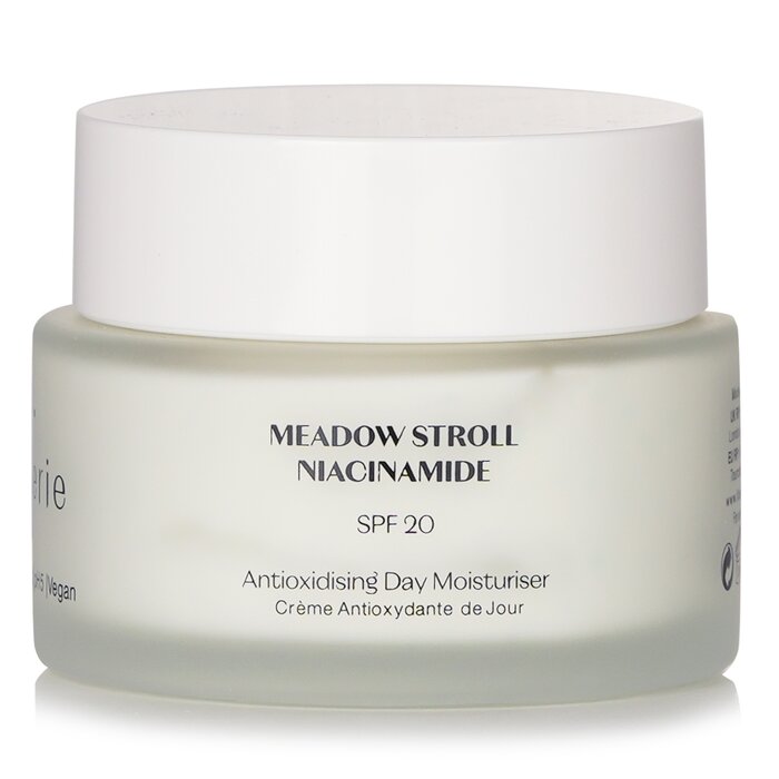Flanerie Antioxidising Day Moisturiser SPF 20 45ml/1.52oz for skincare needs